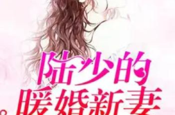 陆少的暖婚新妻全文免费阅读,暖婚新妻的甜蜜逆袭
