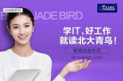 北大青鸟培训课程,全方位IT职业教育课程体系解析”
