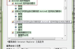 activex控件,深入解析其技术原理与应用场景